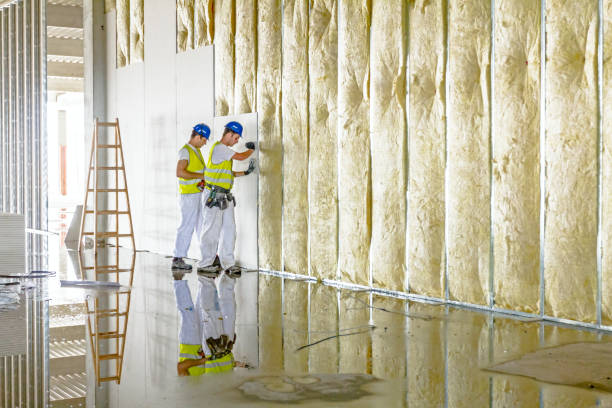 Best Types of Insulation in Soh Jordan, UT